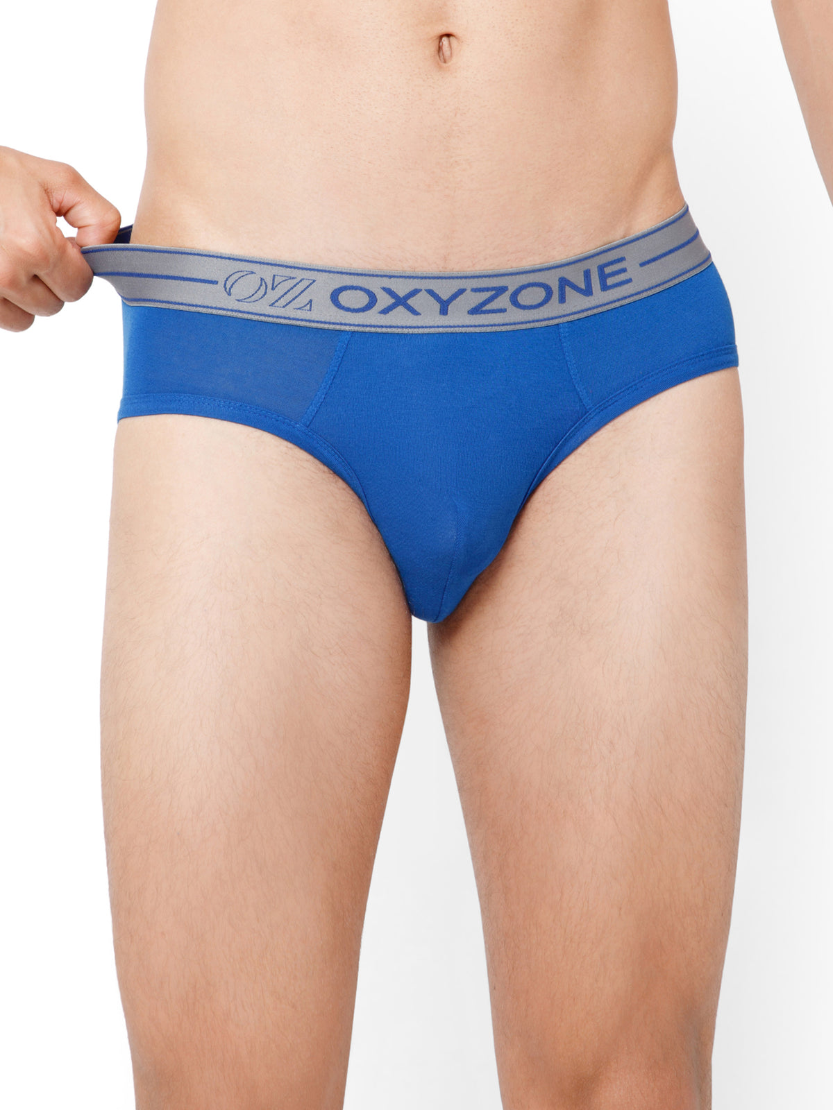 MODAL BRIEF