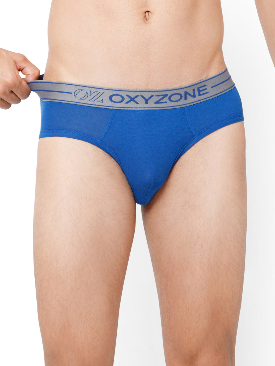 MODAL BRIEF