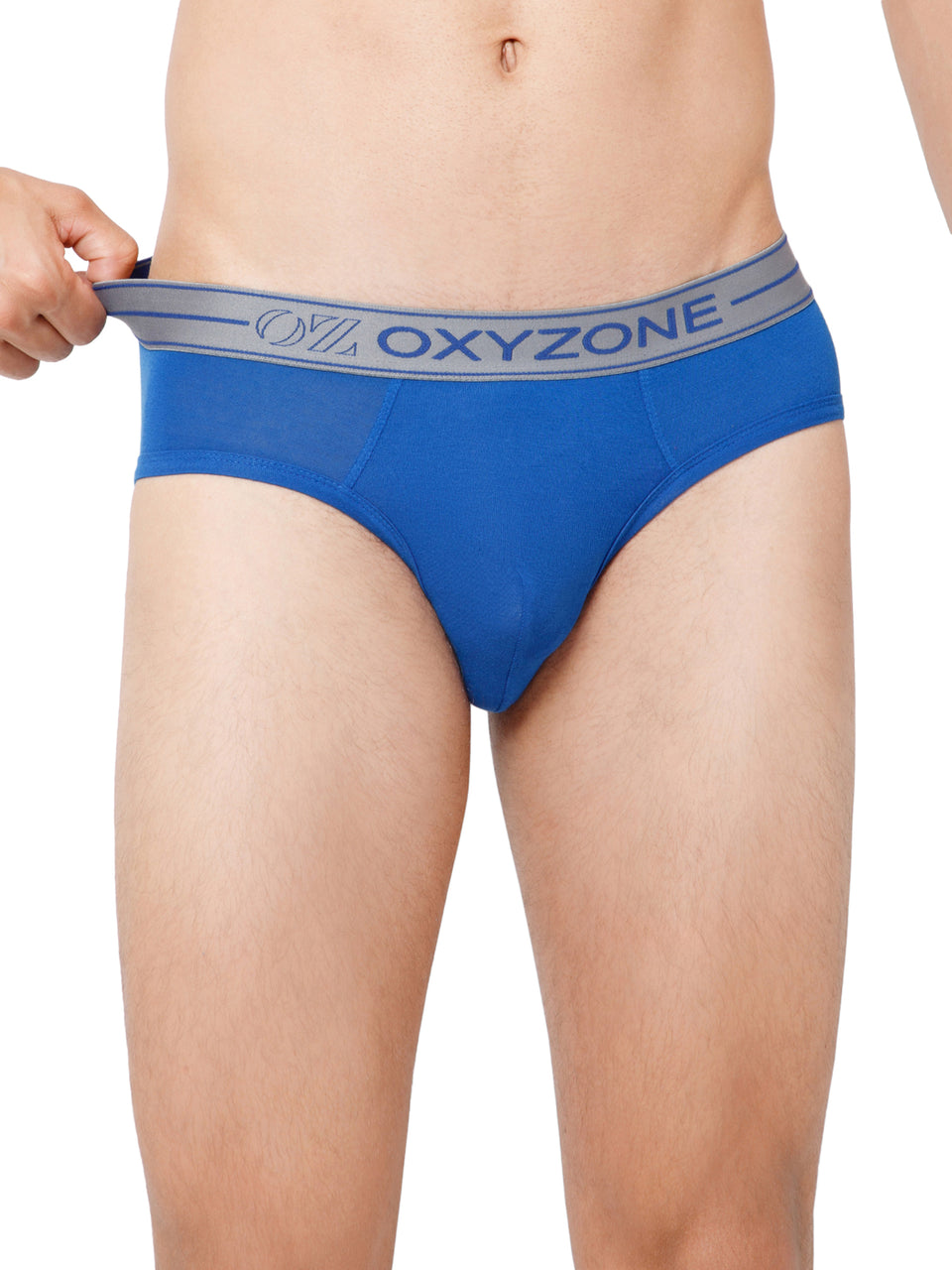 MODAL BRIEF
