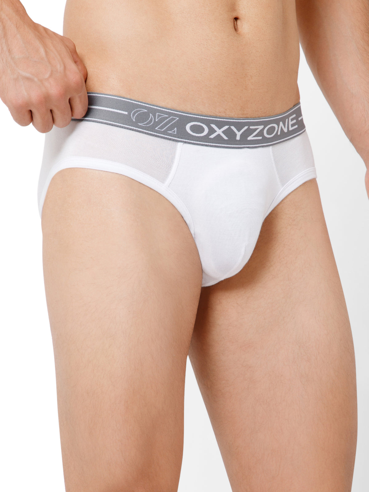 MODAL BRIEF