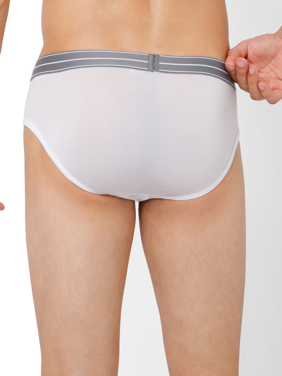 MODAL BRIEF