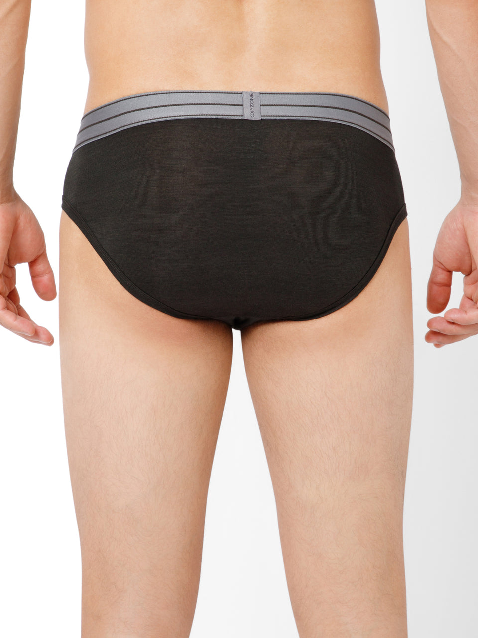 MODAL BRIEF
