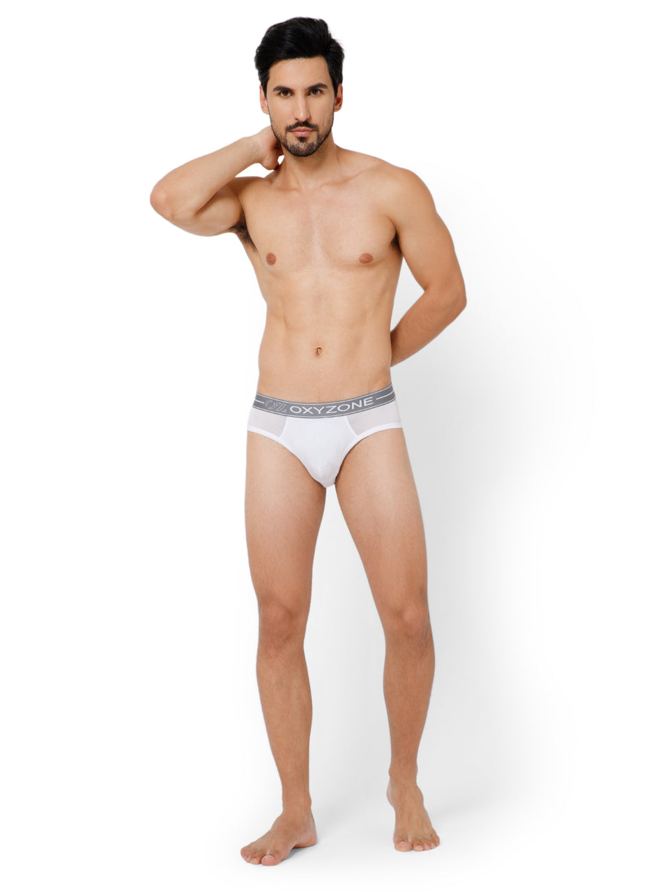 MODAL BRIEF